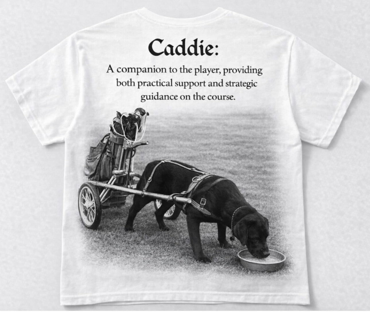 Man's Best Friend